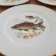 Lot de 5 assiettes jkw western germany 1930 fine porcelain poissons rebord en or3